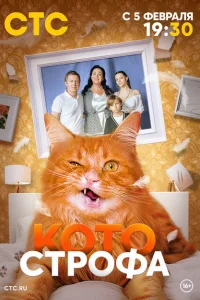 Котострофа смотреть онлайн в хорошем качестве