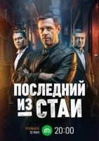 Последний из стаи смотреть онлайн в хорошем качестве